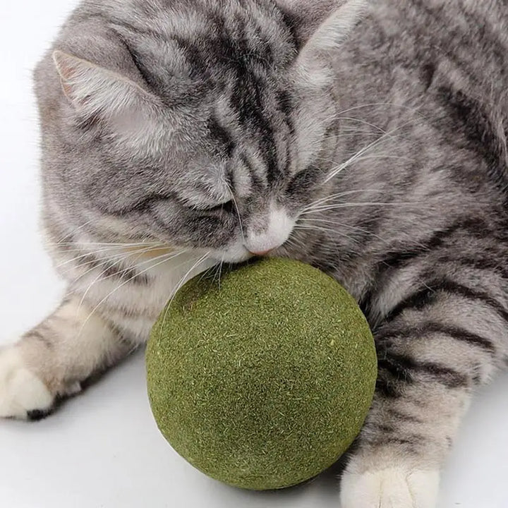 Large Catnip Balls Healthy 10cm Cat Mint Ball Lickable Natural Catnip Toys Self Relieving For Cat Kitten Indoor Outdoor Playing