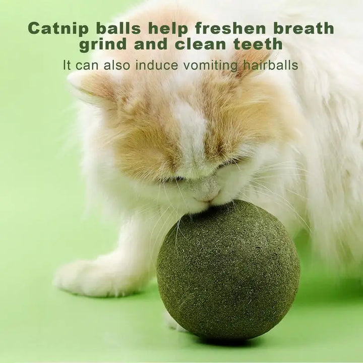 Large Catnip Balls Healthy 10cm Cat Mint Ball Lickable Natural Catnip Toys Self Relieving For Cat Kitten Indoor Outdoor Playing