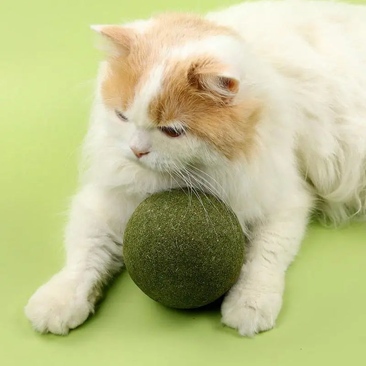 Large Catnip Balls Healthy 10cm Cat Mint Ball Lickable Natural Catnip Toys Self Relieving For Cat Kitten Indoor Outdoor Playing