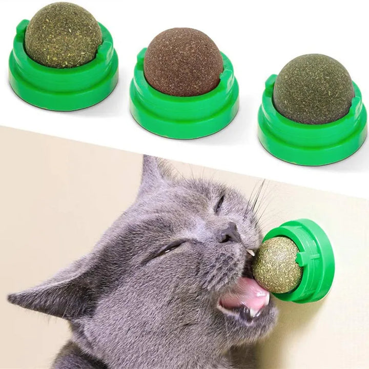 Catnip Cat Wall Stick-on Ball Toy Scratchers Treats Healthy Natural Removes Balls to Promote Digestion Cat Grass Snack